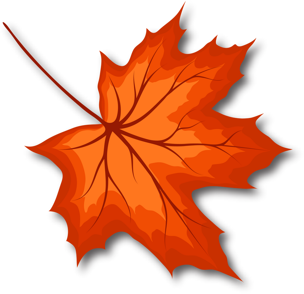 Maple Fall Leaf